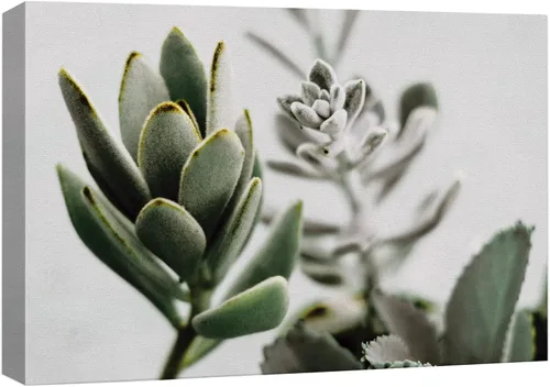 Miniatura 12 de Wall26 - Lienzo decorativo para pared - Decoración moderna para el hogar, obra de arte 01, 12" x 18