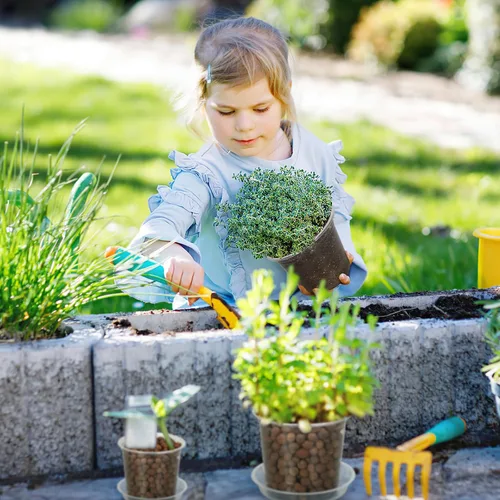 Miniatura 7 de FUIJOL Macetas transparentes de 4 pulgadas para plantas con platillos, paquete de 15, macetas de plástico con agujeros de drenaje, paquete variado