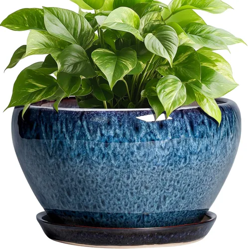 Miniatura 44 de Maceta de Cerámica Moderna con Esmalte para Suculentas con Agujero de Drenaje y Platillo, Maceta Redonda de 6 Pulgadas para Plantas de Flores
