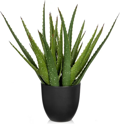 Miniatura 11 de GnFlus Plantas suculentas falsas de aloe vera de 13 pulgadas, suculentas artificiales grandes con maceta negra, planta de aloe sintético en maceta