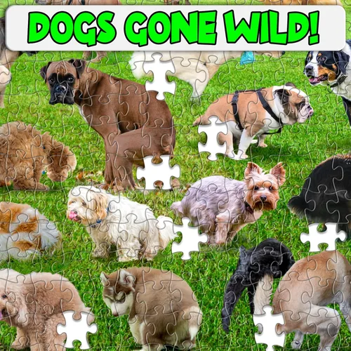 Miniatura 4 de Funwares Rompecabezas Original de 101 Cachorros – Rompecabezas Divertidísimo de Perros de 1000 Piezas – Regalo Gracioso para Amantes de los Perros