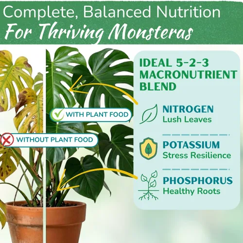 Miniatura 2 de Monstera Plant Food - Fertilizante líquido rico en nutrientes de primera calidad (5-2-3 NPK) para Monstera Deliciosa y otras plantas tropicales