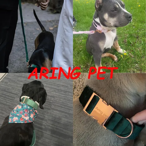 Miniatura 4 de ARING PET Juego de collar y correa de terciopelo para perro, collar y correa suaves para perros, collares ajustables para perros Rojo rosa