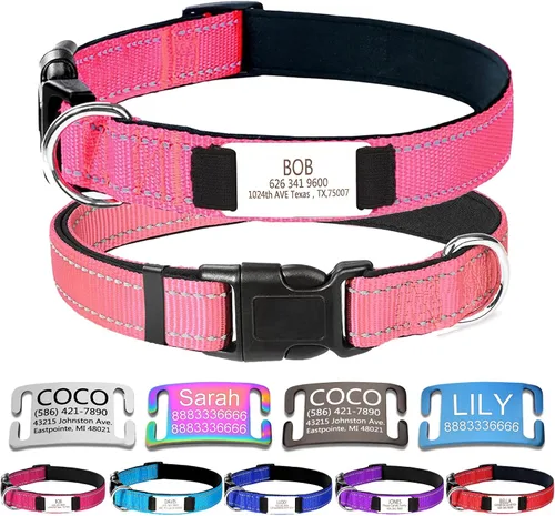 Collares de perro personalizados, collar de perro con etiquetas de identificación de placa de nombre grabadas, collar de nailon ajustable Rosa