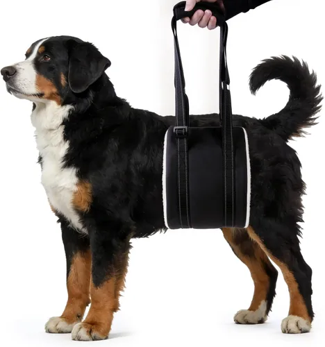 Arnés de elevación para perros, ajustable y cómodo con asa para soporte de pierna trasera, soporte de elevación suave y arnés de rehabilitación para