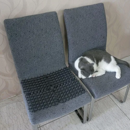 Miniatura 7 de Ley's Paquete de 12 alfombrillas disuasorias para gatos, 6 x 8 pulgadas, con púas, mantiene a los gatos alejados de las plantas, muebles