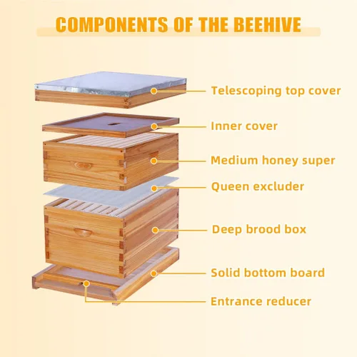 Miniatura 2 de POLLIBEE Las colmenas de abeja Langstroth con revestimiento de cera de abeja de 8 marcos incluyen 1 caja profunda y 1 caja mediana para abejas