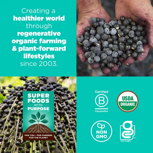 Miniatura 5 de Navitas Organics Berry Acai Superfood+ BITES – Power Snacks – Todo natural a base de plantas – Energía limpia y nutrición – USDA orgánico, sin OMG