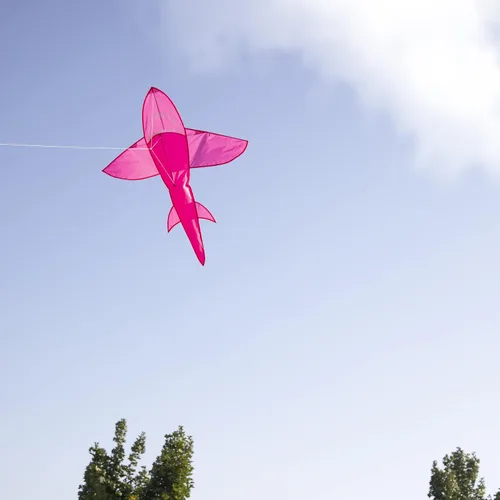 Miniatura 4 de in The Breeze 3D Shark Kite - Single Line - Easy-Flying - Includes Kite Line and Bag