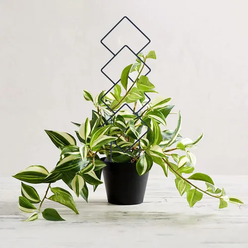 Miniatura 9 de Wellsign Enrejado de plantas de interior para plantas trepadoras, enrejado de metal de jardín pequeño de 16 pulgadas para plantas en macetas al aire