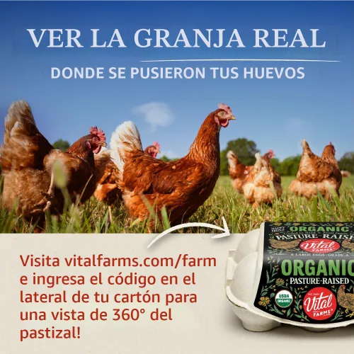 Miniatura 3 de Docena de huevos orgánicos Vital Farms. Huevos grandes, marrones con certificado
