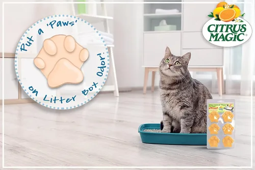 Miniatura 4 de Citrus Magic Eliminador de Olores para Mascotas Litter Paws, Brisa Oceánica, Paquete de 6