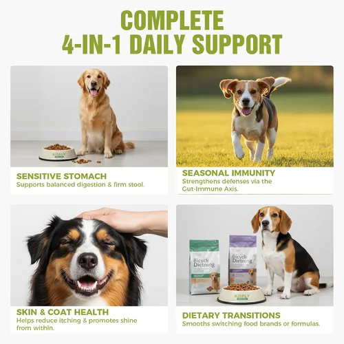 Miniatura 3 de Probióticos para perros: 2 mil millones de UFC masticables para la salud intestinal y digestiva, alivia la diarrea, los gases y las heces sueltas, 6