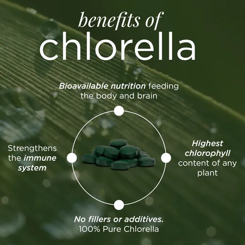 Miniatura 3 de RECOVERYbits - Tabletas orgánicas de Chlorella - Superalimento de algas a base de plantas - Clorofila - Pared celular agrietada - Energía - Sistema