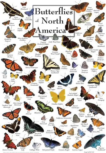 Miniatura 2 de MasterPieces Rompecabezas de 1000 piezas para adultos, familia o jóvenes, mariposas de América del Norte, 19.25 x 26.75 pulgadas