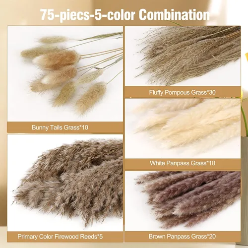 Miniatura 5 de N&T NETING - Decoración de hierba de pampa seca, hierba de pampa blanca, pampa marrón, cola de conejo, caña, flores de hierba de pompas secas
