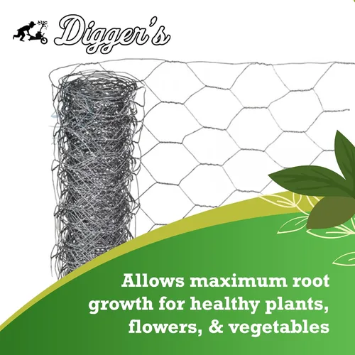 Miniatura 4 de Digger's - Cesta de alambre resistente de 1 galón, cesta de alambre Gopher para plantas perennes y verduras (12 cestas)