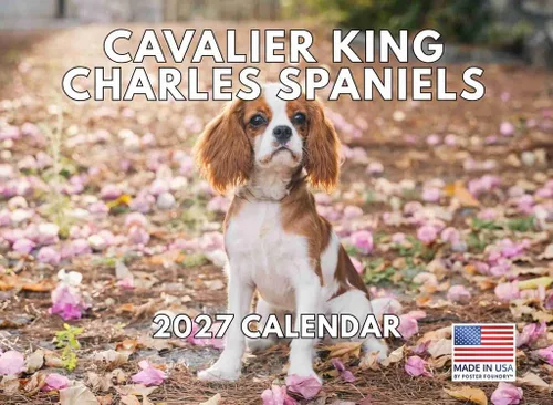 Miniatura 69 de Calendario de pared mensual 2025 Great Dane de 12 meses, fabricado en Estados Unidos