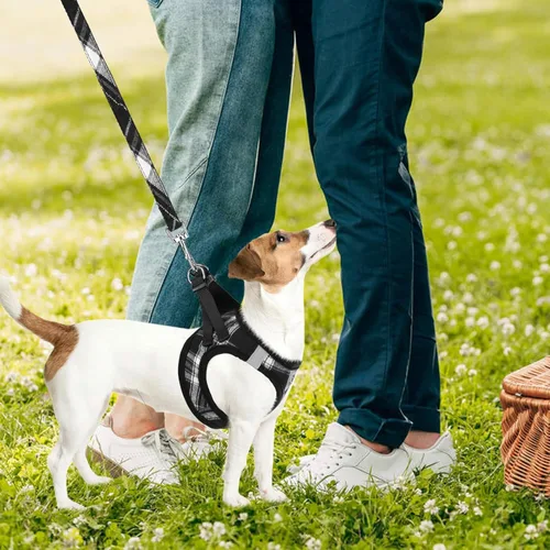 Miniatura 7 de PUPTECK - Arnés, collar y correa ajustables, sin tirones, para perros pequeños y medianos, cachorros y gatos, pechera reflectante acolchada de malla