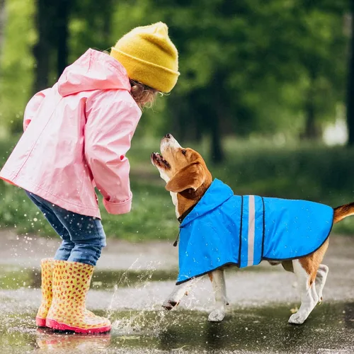 Miniatura 5 de Impermeable ajustable impermeable para perros, chaqueta reflectante para perros con capucha, abrigo ligero para lluvia para perros pequeños, Azul