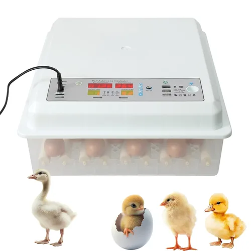 Miniatura 11 de 12 incubadoras para incubar huevos, incubadora de huevos de gallina con giro automático de huevos y pantalla de humedad y luz LED para incubar pollos