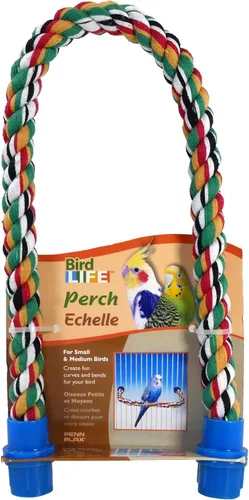 Miniatura 2 de PENN-PLAX Bird Life - Percha de cuerda multicolor y flexible, crea curvas y curvas divertidas y coloridas, ideal para pájaros pequeños y medianos