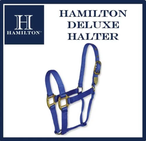 Miniatura 4 de Hamilton Caballo de nailon de 1 pulgada, tamaño pequeño (500-800 libras), azul baya