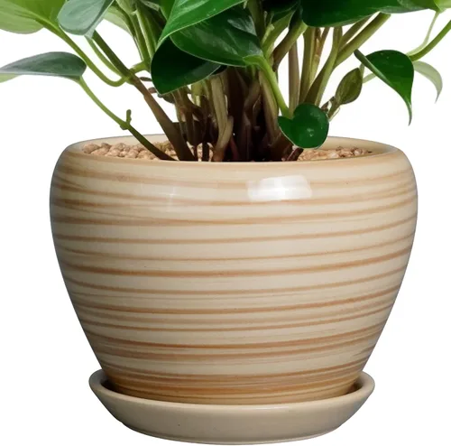 Miniatura 90 de Maceta de Cerámica Moderna con Esmalte para Suculentas con Agujero de Drenaje y Platillo, Maceta Redonda de 6 Pulgadas para Plantas de Flores