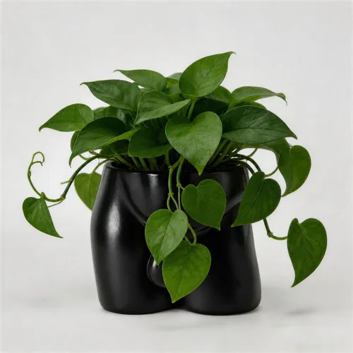 Miniatura 11 de Jarrones de cuerpo para decoración - Maceta de pene, macetas de cuerpo masculino - Jarrón de pene gracioso, maceta para suculentas y cactus