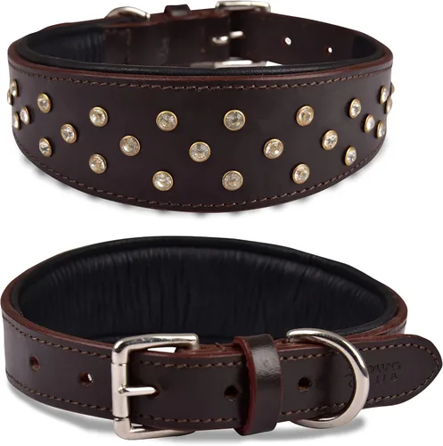 Miniatura 10 de Collar de perro de la serie 'Cupola' de cuero genuino, conchos celtas y remaches de cúpula dorada, acolchado suave, hecho a mano, ideal para razas
