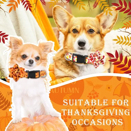 Miniatura 7 de Silkfly 6 collares de Navidad para cachorros con flores de otoño, arce, pavo, calabaza, collar ajustable para mascotas con hebilla de plástico