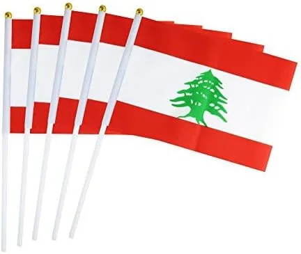 Paquete de 25 banderas pequeñas de mano, bandera del Líbano del Líbano, Bandera del Líbano, Banderas de País Nacionales, Suministros de Decoración