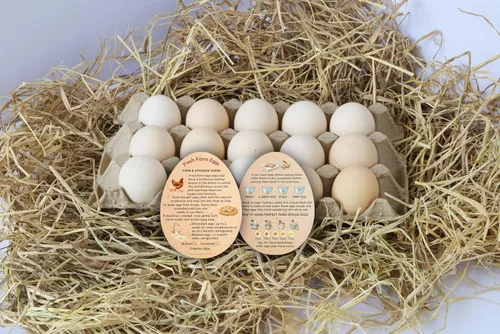 Miniatura 9 de Tarjetas de instrucciones de manejo de huevos de Fresh Farm – 2.7 x 3.5 pulgadas – Estilo en forma de huevos – Sellos de huevos para el cuidado