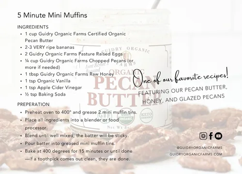 Miniatura 7 de Mantequilla de pecana orgánica certificada por USDA, hecha a mano, pequeños lotes, apta para keto, sin gluten, todo natural, hecha de nueces pecanas