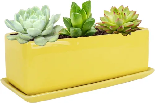 Miniatura 11 de Vencer Maceta rectangular moderna minimalista de cerámica para suculentas de 12 pulgadas, caja con ventana con platillo, soporte de escritorio