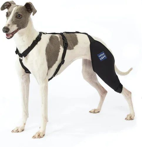 Miniatura 10 de Rodillera para perro con arnés y cinturón de conexión, ligera y elástica, soporte para pierna trasera desgarrada del ligamento cruzado anterior