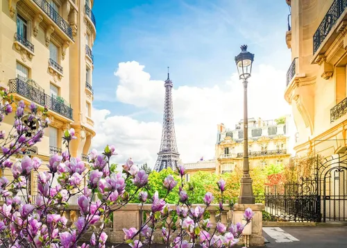 Miniatura 2 de BELECO Telón de fondo romántico de la Torre Eiffel de París, de 5 x 3 pies, diseño romántico de París, flores florecientes de primavera, cielo azul