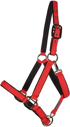 Dura-Tech Cabestro de caballo de nailon totalmente acolchado | Cabestro para caballo diseñado para evitar rozaduras | Corona y bordillo de caballo
