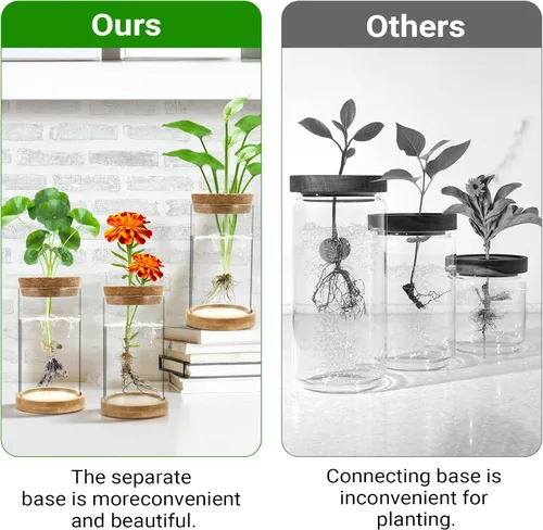 Miniatura 4 de Estaciones de propagación de plantas, paquete de 3 terrarios de plantas, tarros de propagación de vidrio hidropónicos para plantas
