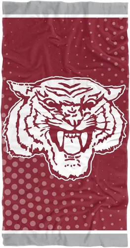 Miniatura 52 de LOGOVISION Manta Abilene Christian University, 30x60 Logo Dots CottonFront/PolyBackBeachTowel
