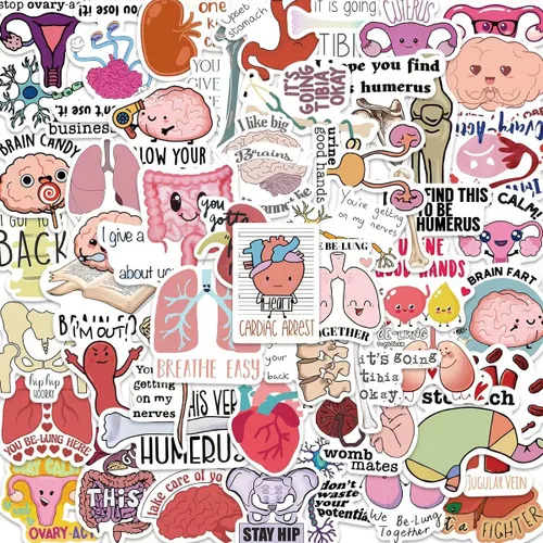 Adhesivos graciosos de Anatomía, adhesivos divertidos de Anatomía, calcomanías para botella de agua, portátil, álbum de recortes (paquete de 50)