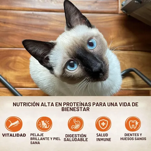 Miniatura 3 de Wellness CORE Tiny Tasters - Alimento húmedo en paté para gatos adultos, natural, rico en proteínas, sin granos, bolsa de 1.75 onzas, paquete de 12