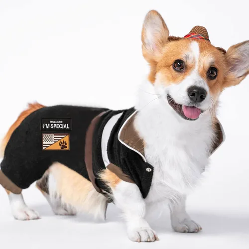 Miniatura 3 de 10 parches para perros de servicio bordados para chalecos para perros Arnés para perro con cierre de gancho y bucle, divertido juego de parches