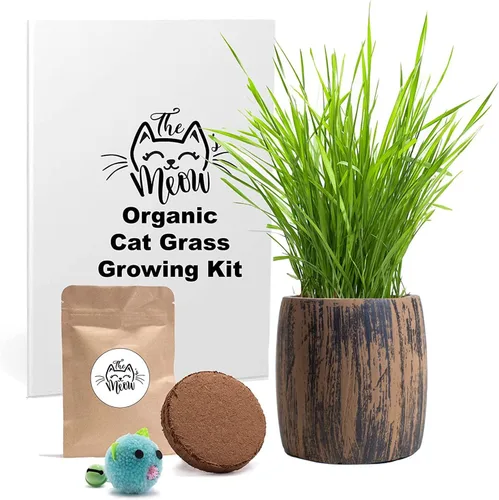Miniatura 5 de Kit de hierba para gatos de interior – Semillas orgánicas y tierra de mejor valor para 4 plantaciones, incluye juguete de regalo para gatos