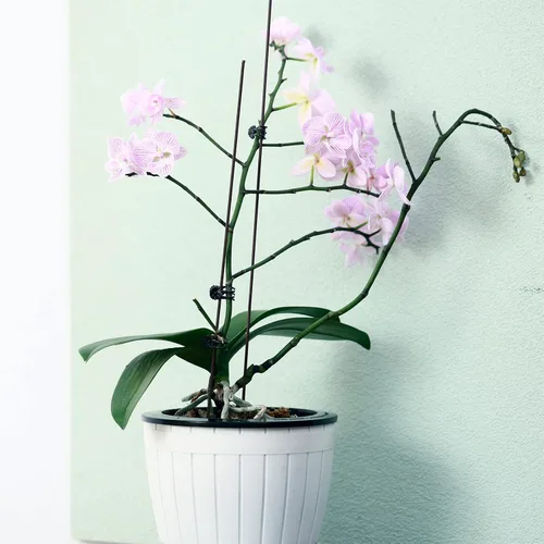 Miniatura 3 de Planterhoma Paquete de 3 macetas de riego automático para plantas de interior, macetas de plástico de 7.1 pulgadas, color blanco