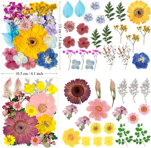 Miniatura 5 de 90 piezas de flores secas prensadas grandes para moldes de resina, flores naturales reales surtidas, pétalos de hojas para manualidades, joyas