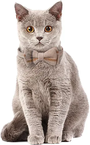 Miniatura 6 de Faleela Breakaway Collar de gato con campanas, paquete de 2 collares para gatos con campanas, collares de gato con bandana, accesorios para collares