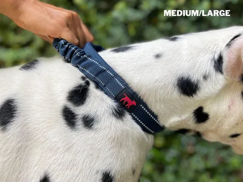 Miniatura 6 de Tuff Pupper Collar de perro resistente con asa Collar de nailon balístico resistente Collar de perro reflectante acolchado con hardware Azul