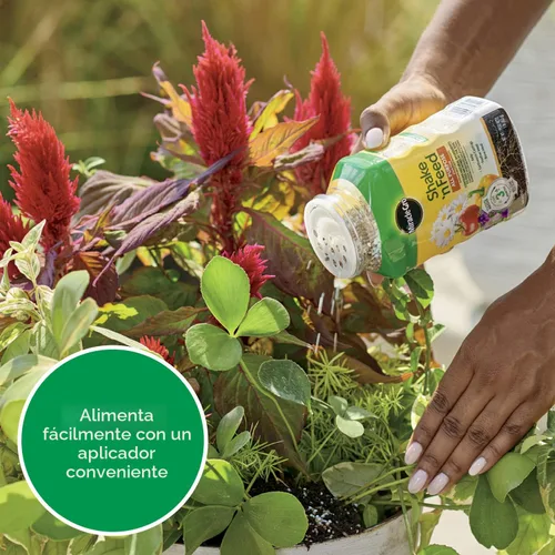 Miniatura 8 de Miracle-Gro Shake 'N Feed - Alimento vegetal multiusos, para plantas en el suelo y en macetas, nutrición por hasta 3 meses, 1 lb.