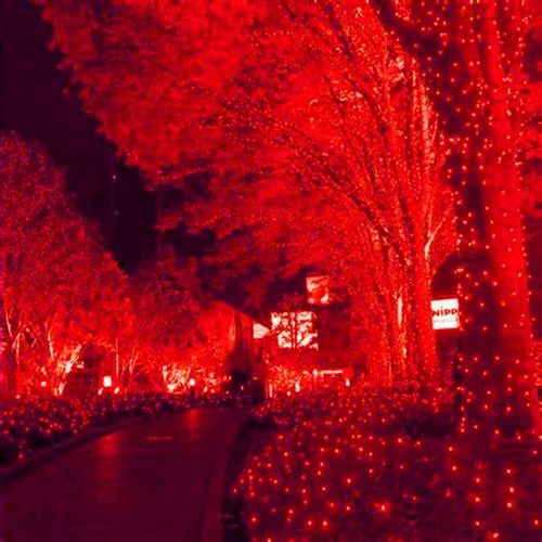 Miniatura 5 de HISHINY Red de luces LED rojas de Navidad para exteriores, cable verde de 100 luces LED de 5 x 5 pies, cable verde conectable para interiores y Rojo